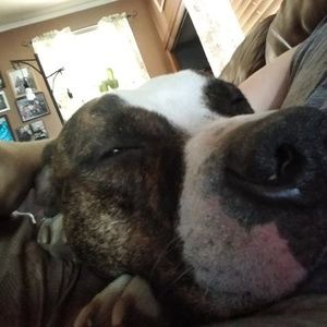 Meet your Posher, Liam